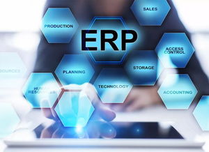 论ERP在我国企业管理中的应用
